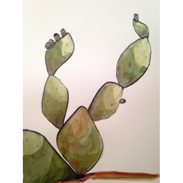Cactus Art Print